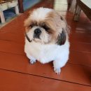 장성농원 이미지