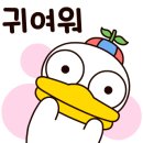 아쿠아필드 하남 이미지