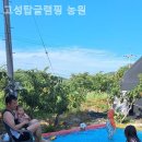 고성 탑 글램핑 농원 네이버블로그