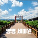 두물머리공원 맞은편 | 양평 세미원 배다리 연꽃 수련 가득한 양평 가볼만한곳 추천