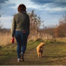 강아지놀이터 이미지