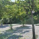 양양고인돌캠프 이미지