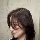 더모던화이불치