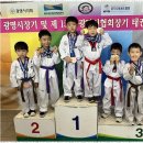 활기찬 태권도 이미지