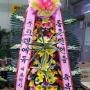 크렘에듀