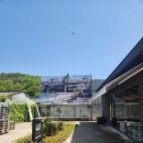 리틀애견 | 대구 근교 도넛맛집 애견동반카페 리틀맨리 후기!!