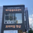 광안1동 수영로 메이동물의료센터 앞 | 광안리 메이동물병원 심장사상충 광견병 접종 가격 후기