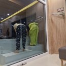 신축펜션프롬가든 | [포항] "소유가든" 포항 오션뷰 스파펜션 개별수영장 자쿠지가 있는 S202호 내돈내산 후기