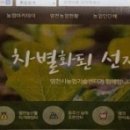 알찬연근팜 이미지