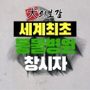 귀족동물병원 이미지