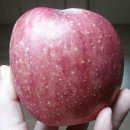 하이크린 이미지