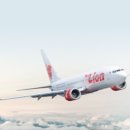 라이언 PC 이미지