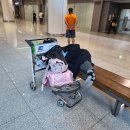 오늘은 24절기의 입춘, 24절기 기준은 중국 화북지방이다! 이미지