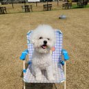 경북반려동물장례식장 이미지