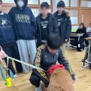 어방초등학교 이미지