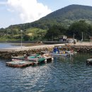 일등종합가스 이미지