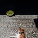 맡겨보개 이미지