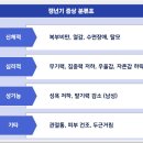 갱년기 여성의 대사 변화와 체중 관리 전략