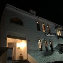 제주 자고가 이미지