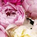 강진우체국 이미지