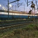 지천면사무소 이미지