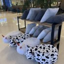 노아스로스팅은파