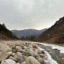 강원 양양 / 오색허브농원 캠핑장 / 유명한곳