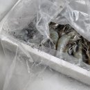 다솜바이오 이미지