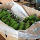 굿모닝농장 이미지