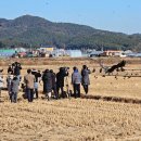 고성군의회 화장실 | 고성 <날아라! 독수리야! 축제> 체험 후기(tip 대방출)