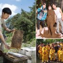 대박양봉 이미지