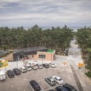 솔향기캠핑장 이미지