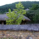 돌담 이미지