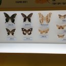 고성자연사박물관 이미지