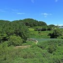 고향의 여름 이미지