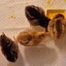 수성못금정 | APR.3