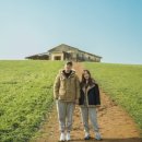 효제농장 | 5월 축제 | 고창 청보리밭 축제 담양 대나무축제