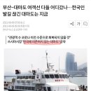 부산~대마도 여객선 다들 어디갔나…한국인 발길 끊긴 대마도는 지금 이미지