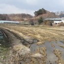 충주전원/충주시 금가면 오석리 답약1000평 (3217)보전관리 매2억 이미지