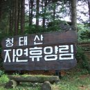 삽교주유소 이미지