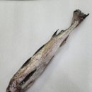 에스에스헬스장 이미지