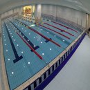 스윔월드 이미지