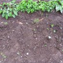 석보 파출소 이미지