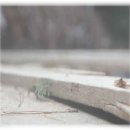 그늘막100 이미지