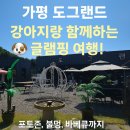 해시도그 | 강아지랑 1박 2일 불멍 힐링🌲 가평 도그랜드 후기 (수영장 + 바베큐 + 숙박 총정리)