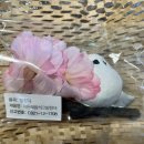 이든혜윰 이미지