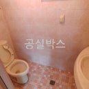 금비공인중개사사무소 이미지