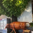 사랑채정육식당 | 용인 점심 맛집 육판장 은화삼cc 모임하기 좋은 넓은 회식장소