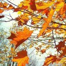 주역강의 이미지