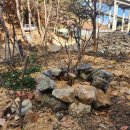 일광농장 이미지